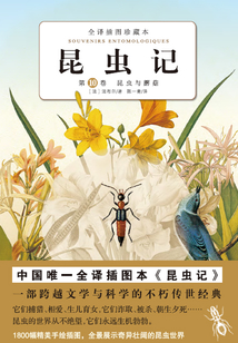 昆蟲記:昆蟲與蘑菇(第10卷)