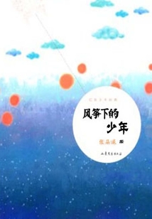 風箏下的少年