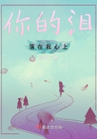 你的淚落在我心上在線閱讀