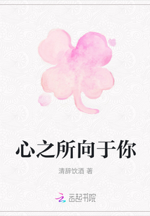 心之所向于你