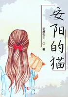 活捉一只小仙喵