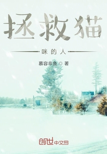 拯救貓咪的人