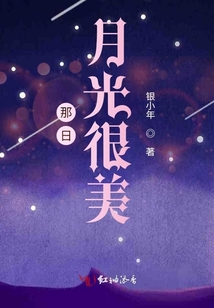 那日月光很美