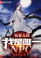 玩家入侵：我是唯一NPC在線閱讀