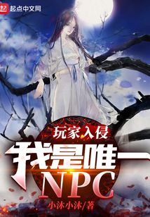 玩家入侵：我是唯一NPC
