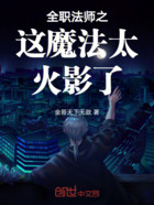 全职法师之这魔法太火影了在线阅读
