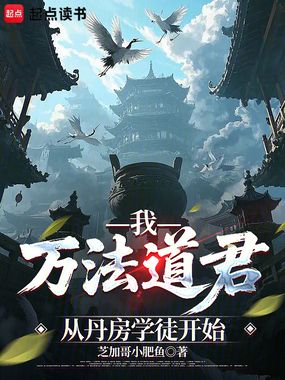 我,万法道君,从丹房学徒开始在线阅读