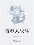 青春大决斗在线阅读