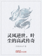 灵风逆世,叶尘的高武传奇在线阅读