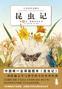 昆蟲記：蓑蛾的保護層（第7卷）