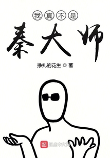 我真不是秦大師