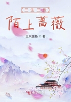 三生三世陌上薔薇在線閱讀