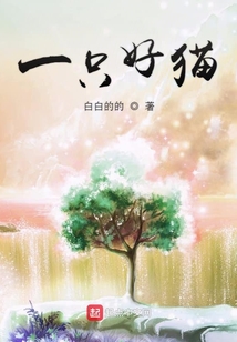 一只好貓