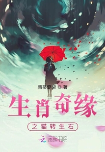 生肖奇緣之貓轉生石