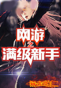 網游之滿級新手