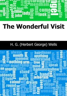 The Wonderful Visit