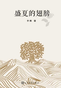 盛夏的翅膀