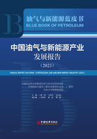 中国油气及新能源产业发展报告（2021）在线阅读