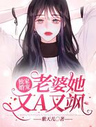 独家婚宠:老婆她又A又飒