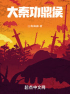 大秦功鼎侯在线阅读