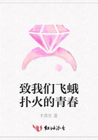 致我們飛蛾撲火的青春在線閱讀