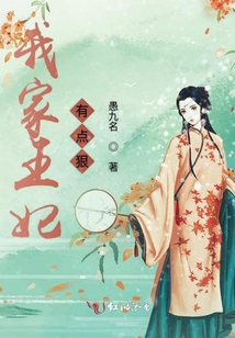 我家王妃有點(diǎn)狠