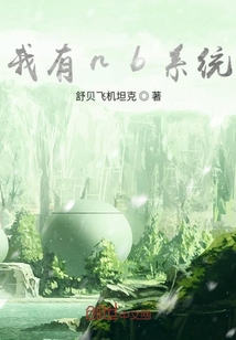 我有nb系統(tǒng)