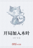 開局加入木葉在線閱讀