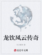 龙饮风云传奇在线阅读