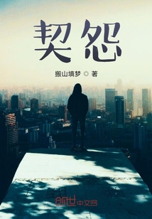 契怨