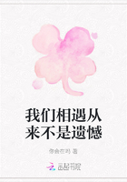 我们相遇从来不是遗憾在线阅读