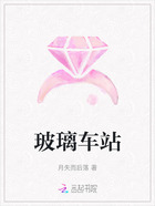 玻璃车站在线阅读