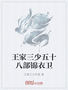 王家三少五十八部锦衣卫在线阅读