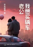 老公我想买辆车在线阅读