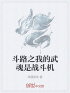 斗路之我的武魂是战斗机在线阅读