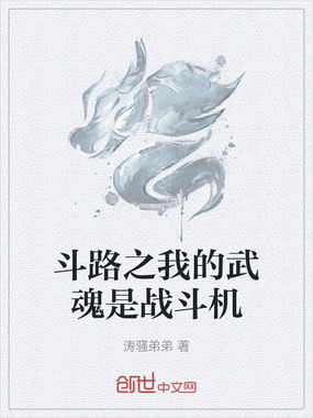 斗路之我的武魂是战斗机在线阅读