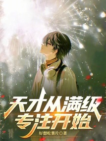 《天才从满级专注开始》封面