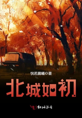 北城如初在线阅读