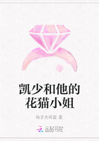 凯少和他的花猫小姐