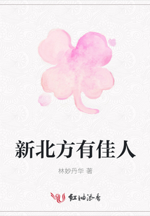 新北方有佳人
