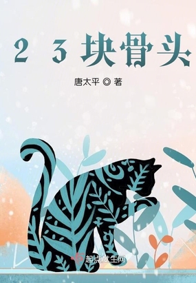 23块骨头在线阅读