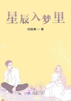 星辰入梦里在线阅读