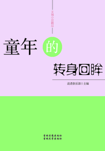 童年的轉身回眸（文摘小說精品）