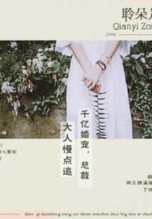 千億婚寵,總裁大人,慢點追