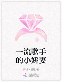 一流歌手的小嬌妻