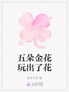 五朵金花玩出了花在线阅读