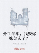 分手半年,我娶你妹怎么了?在线阅读