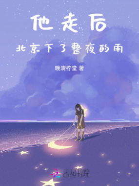 他走后，北京下了整夜的雨在线阅读