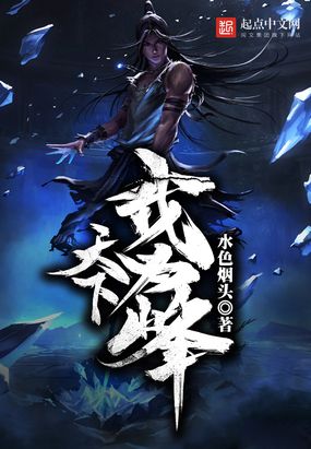 天下我为峰在线阅读