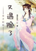 世子妃她又遇險了在線閱讀